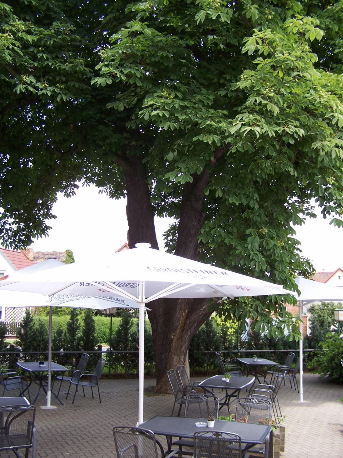 Hotel Glindenberger Hof Extérieur photo
